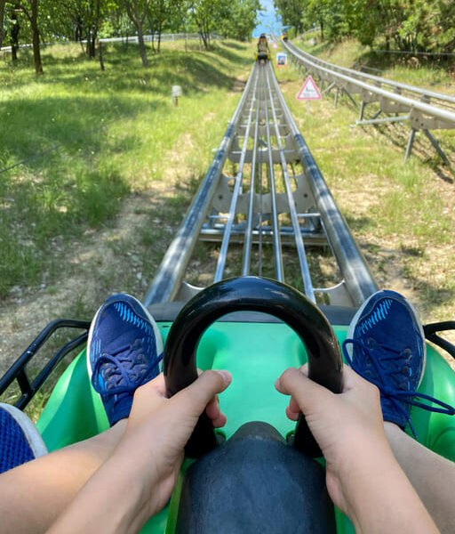Sommerrodeln im Schwarzwald
