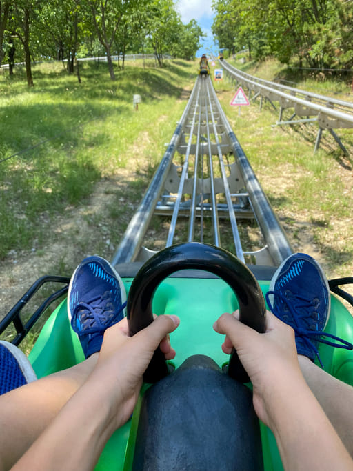 Adrenalinkick: Sommerrodeln im Schwarzwald
